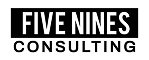 Five Nines Consulting